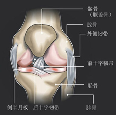 石家莊跑步機