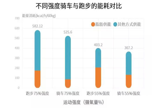 石家莊健身器材